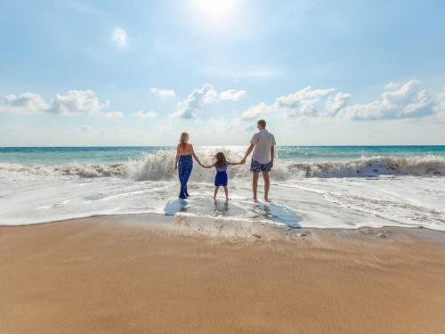 54703507 Palm Suites Atlantic Beach Amenities