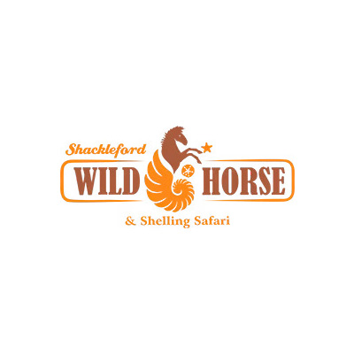 Shackleford Wild Horse Safari
